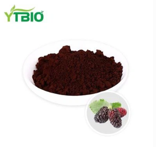 Mulberry Extract Powder